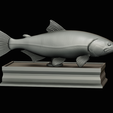 golden-dorado-statue-box-1-33.png fish golden dorado / Salminus brasiliensis with storage space / for 3d printing
