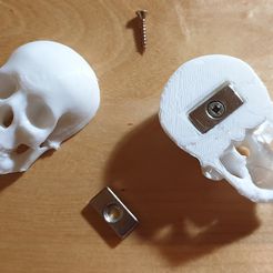 Crane.jpg Archivo STL gratis Imán de la cabeza de la muerte・Objeto de impresión 3D para descargar