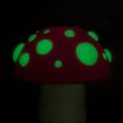 It’s-a-Mushroom-Lamp-5.jpg It’s a Mushroom Lamp