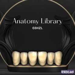 03HZL.png Dental Library 03HZL