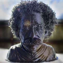 HairyEinsteinGRAM_00000.jpeg.jpg STL-Datei Haariger Einstein herunterladen • 3D-druckbare Vorlage, PrintThatThing