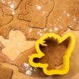 IMG_3422.jpg Crash Bandicoot cookie cutter