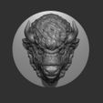 3.jpg Bison angry head