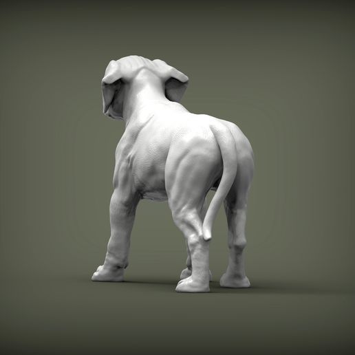 puppy-rhodesian-ridgeback-standing2.jpg puppy rhodesian ridgeback standing 3D print model