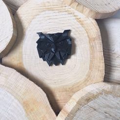 Geometrical owl