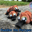 Puddles-the-Platypus.png Puddles the Platypus Flexi