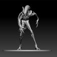 ZBrusss.jpg Xenomorph Alien