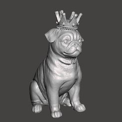 PugMM.jpg Dog Wearing A Crown - Pug