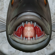 Dentex-head-trophy-21.png fish head trophy Common dentex / dentex dentex open mouth statue detailed texture for 3d printing