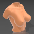 08.png STL file Bust 03・3D printable model to download, Mister_lo0l_