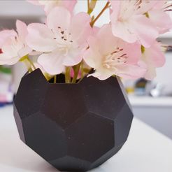 20180219_111625.jpg STL-Datei Mini planter kostenlos・3D-Druckvorlage zum Herunterladen