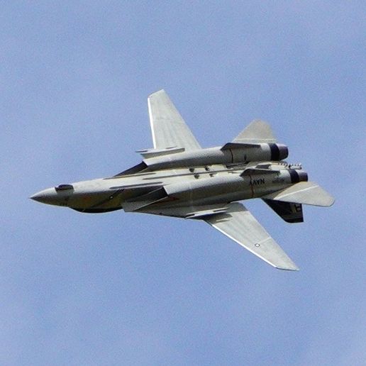 F-14-In-Flight-2.jpg F-14 RC Aircraft (Twin 50mm Fan, 1050mm span)