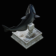 coalfish-open-mouth-statue-box-20.png COALFISH / POLLACHIUS VIRENS trophy with storage space for 3d printing