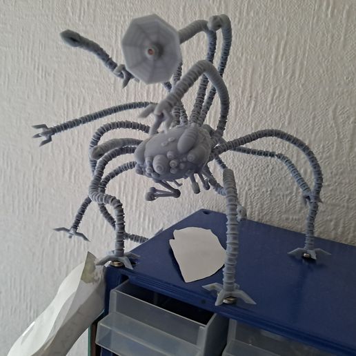 20231125_134642.jpg Matriz centinela 1