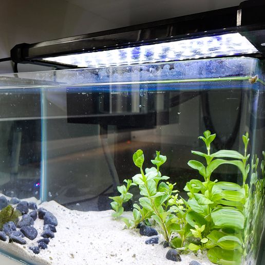 20230507_111811.jpg Nano Aquarium External Filter Waterfall