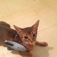 yumi1_display_large.jpg Free STL file Battle Kitten Ayumi・3D printer design to download