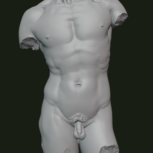 Screenshot-2025-08-25-203935.png Fragmento de torso de David