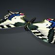 YY.jpg DOWNLOAD BUTTERFLY 3D MODEL - ANIMATED - MAYA - BLENDER 3 - 3DS MAX - UNITY - UNREAL - CINEMA 4D - 3D PRINTING - OBJ - FBX - 3D PROJECT CREATE AND GAME READY BUTTERFLY - DRAGON