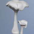 2023-04-21-10_33_27-ZBrush.jpg naturalist sculpture mushrooms girolle