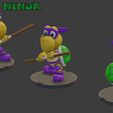 Koopa_D.jpg KOOPA NINJA D