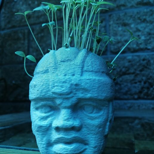 IMG_20200907_114115.jpg Jardinière Pot Olmec