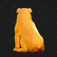 2972-Bulldog_Pose_06.jpg Bulldog Dog 3D Print Model Pose 06