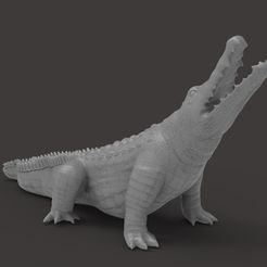 untitled.33.jpg crocodile 3d printable model