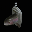 Rainbow-trout-solo-model-open-mouth-1-15.png fish head trophy rainbow trout / Oncorhynchus mykiss open mouth statue detailed texture for 3d printing