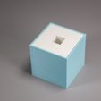 _MG_5643.jpg 3D file Pokerissimo | dice thrower・3D printer design to download