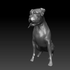 Perro.jpg OBJ file Boxer Dog・Template to download and 3D print, JoacoKin