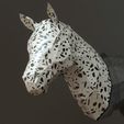 il_794xN.1690710270_fi4m.jpg HORSE HEAD