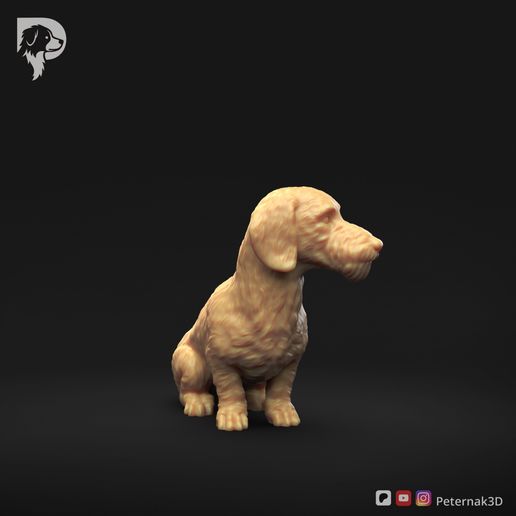 Dachshund-Miniature-Wire-Haired-Pose-06-Dog-3D-Print-2s.jpeg Dachshund Miniature Wire Haired Pose 06