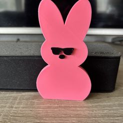 IMG_3598.jpeg Cool Easter Bunny Peep Decor Icon