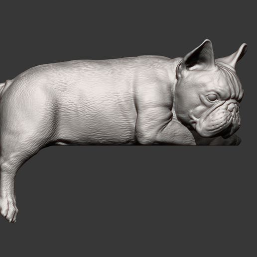 French-Bulldog6.jpg Archivo 3D Modelo de impresión en 3D de un Bulldog Francés・Objeto imprimible en 3D para descargar, akuzmenko