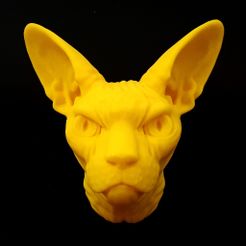 20190422_120046.jpg STL file Sphynx Cat Head・3D printing template to download