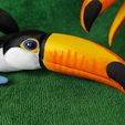 IMG_20240127_153226818_MP.jpg Toucan  Articulated Figure