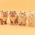 20260726_135024.jpg Articulated Chow Chow 🐾✨