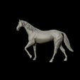 18.jpg Thoroughbred Horse model 3D print model