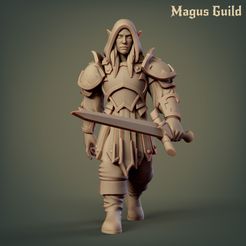 Elf_fighter_Mg5.5-1.jpg STL file Elf Fighter with sword – MG5.5・3D print design to download