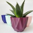 IMG_20190609_134519_571.jpg STL file Low poly pot / Plant cactus・3D printing design to download