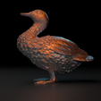 2023-11-28-20_23_57-_-bust-1-C__Users_Berkehan_Desktop_bust-1.blend-Blender-4.0.png Duck sitting and standing duck