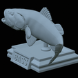 Bass-stocenej-22.png fish bass trophy statue detailed texture for 3d printing
