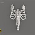 SCORPION20.jpg Scorpion pendant