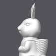Captura-de-tela-2025-03-13-125311.png rabbit model with basket on the back