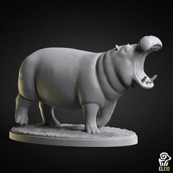 hippo.png Hippo - Animal