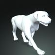 06.jpg DOG DOG - DOWNLOAD Rottweiler 3d model - animated CANINE PET GUARDIAN WOLF HOUSE HOME GARDEN POLICE - 3D printing DOG DOG DOG