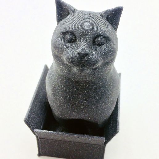 Schrodinky! British Shorthair Cat Sitting In A Box(single extrusion version) 3D model