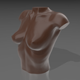 01.png 3D file Bust 04・Template to download and 3D print