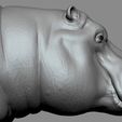 05.jpg Hippo