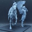 20220804_141250.jpg Winged Hussar and Mount Presupported